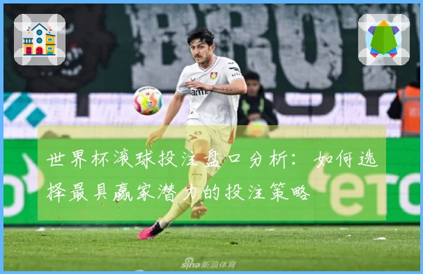世界杯滚球投注盘口分析：如何选择最具赢家潜力的投注策略