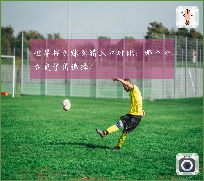 世界杯买球竞猜入口对比，哪个平台更值得选择？