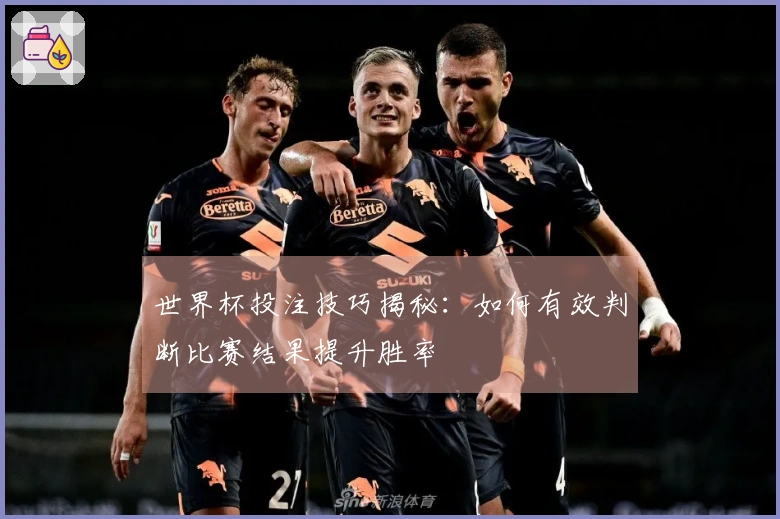 世界杯投注技巧揭秘：如何有效判断比赛结果提升胜率