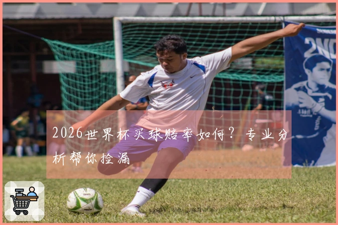 2026世界杯买球赔率如何？专业分析帮你捡漏