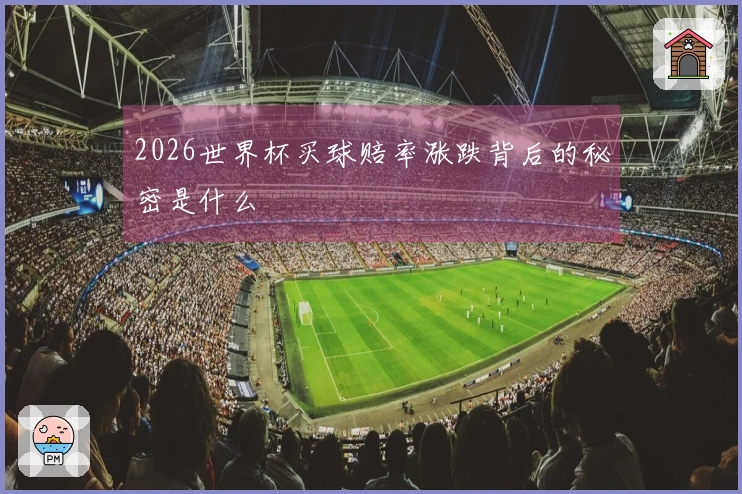 2026世界杯买球赔率涨跌背后的秘密是什么