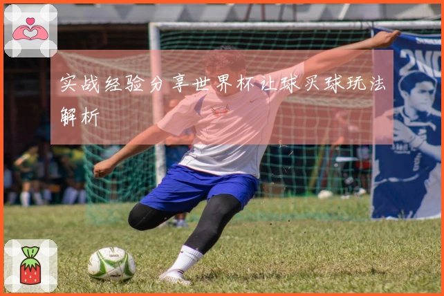 实战经验分享世界杯让球买球玩法解析