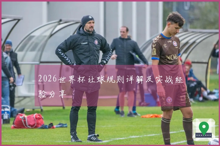 2026世界杯让球规则详解及实战经验分享
