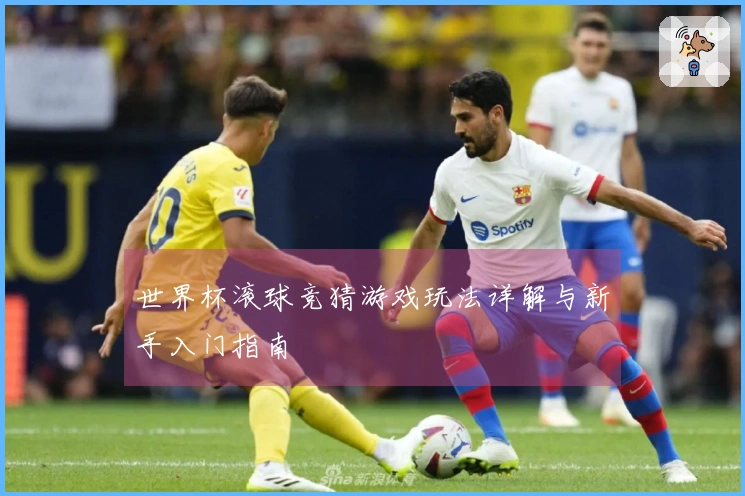 世界杯滚球竞猜游戏玩法详解与新手入门指南