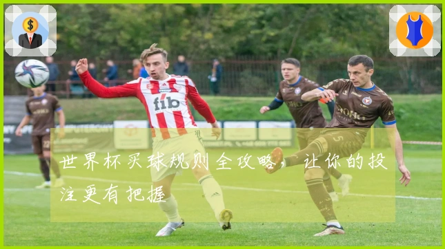 世界杯买球规则全攻略，让你的投注更有把握
