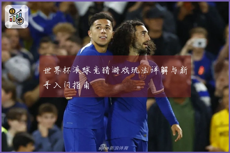 世界杯滚球竞猜游戏玩法详解与新手入门指南